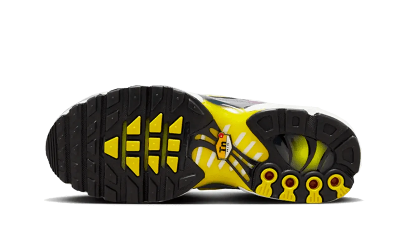 Nike Air Max Plus Violet Dust functional - design shoes